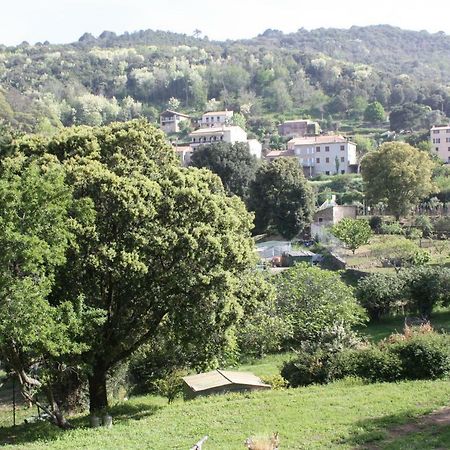 A Cardiccia Loc Saisonnieres Piana Apartment Piana  Exterior foto